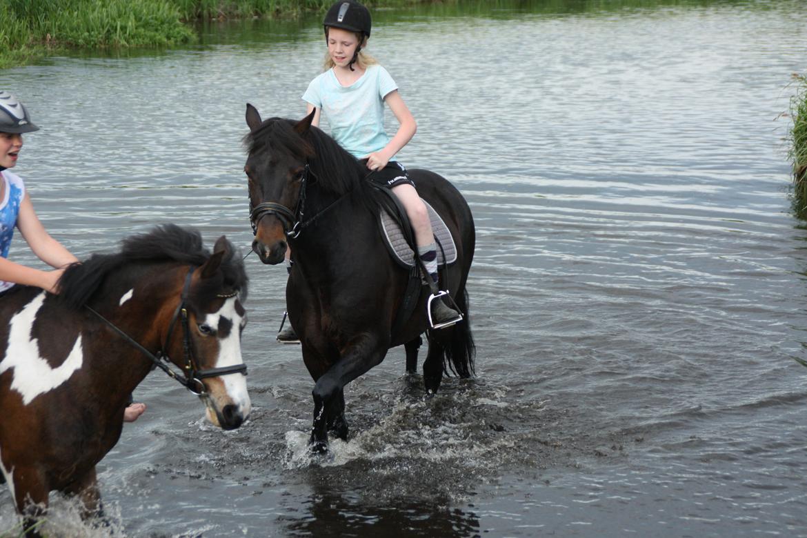 Anden særlig race Super star. <3 - Åen!! <3 <3 billede 12