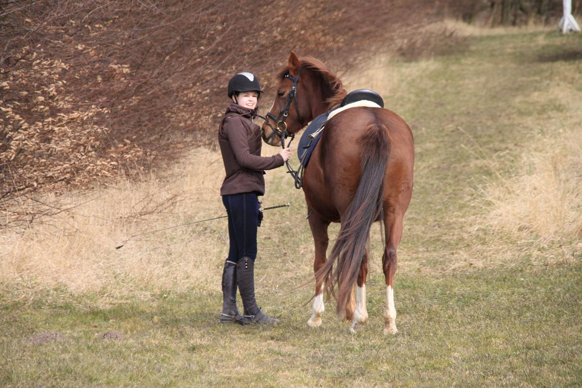 DSP Savannah Amour<3  - Tak fordi du kiggede fordi :)<3 billede 20