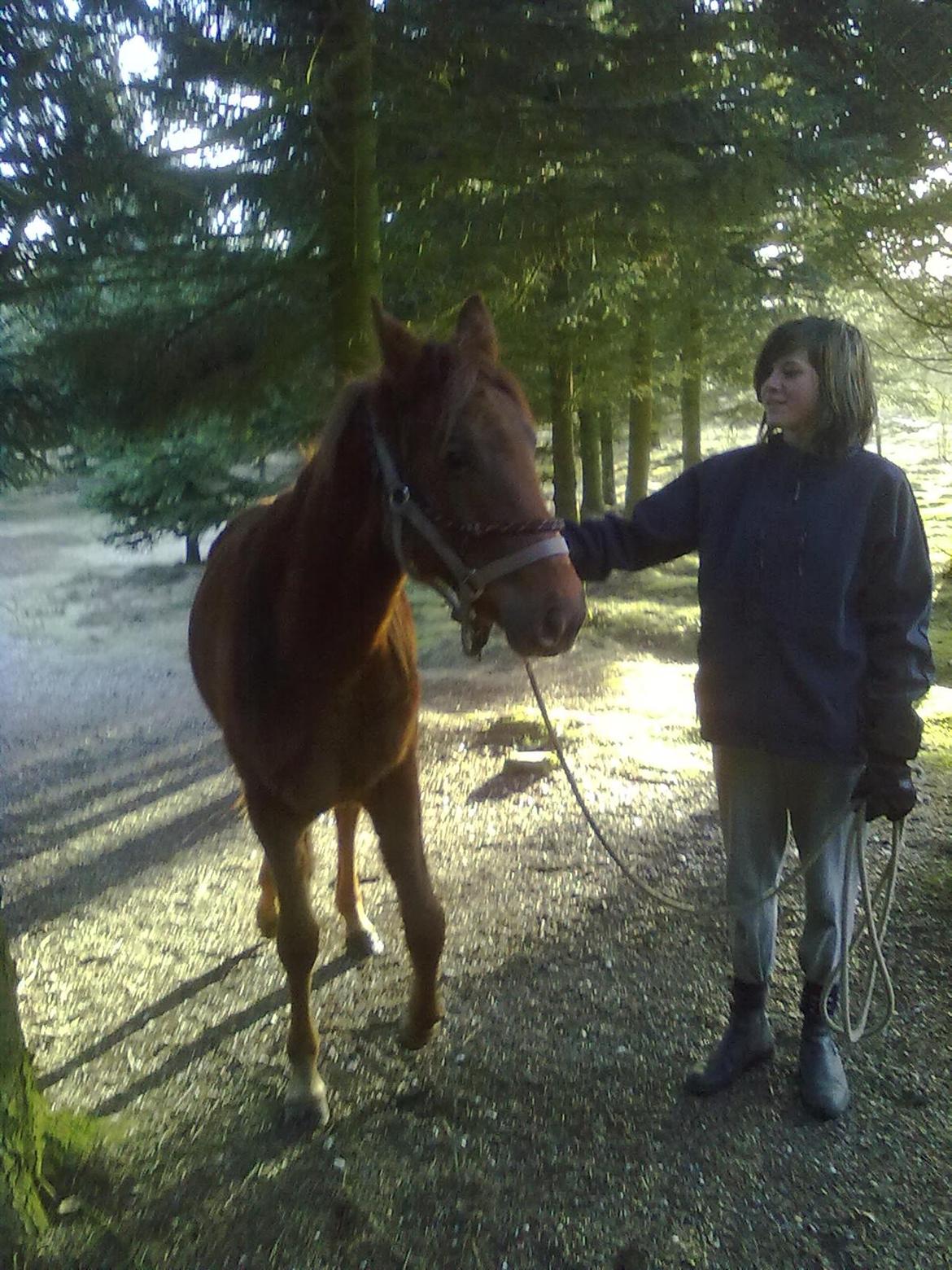 Anden særlig race Fame<33 den smukke billede 10