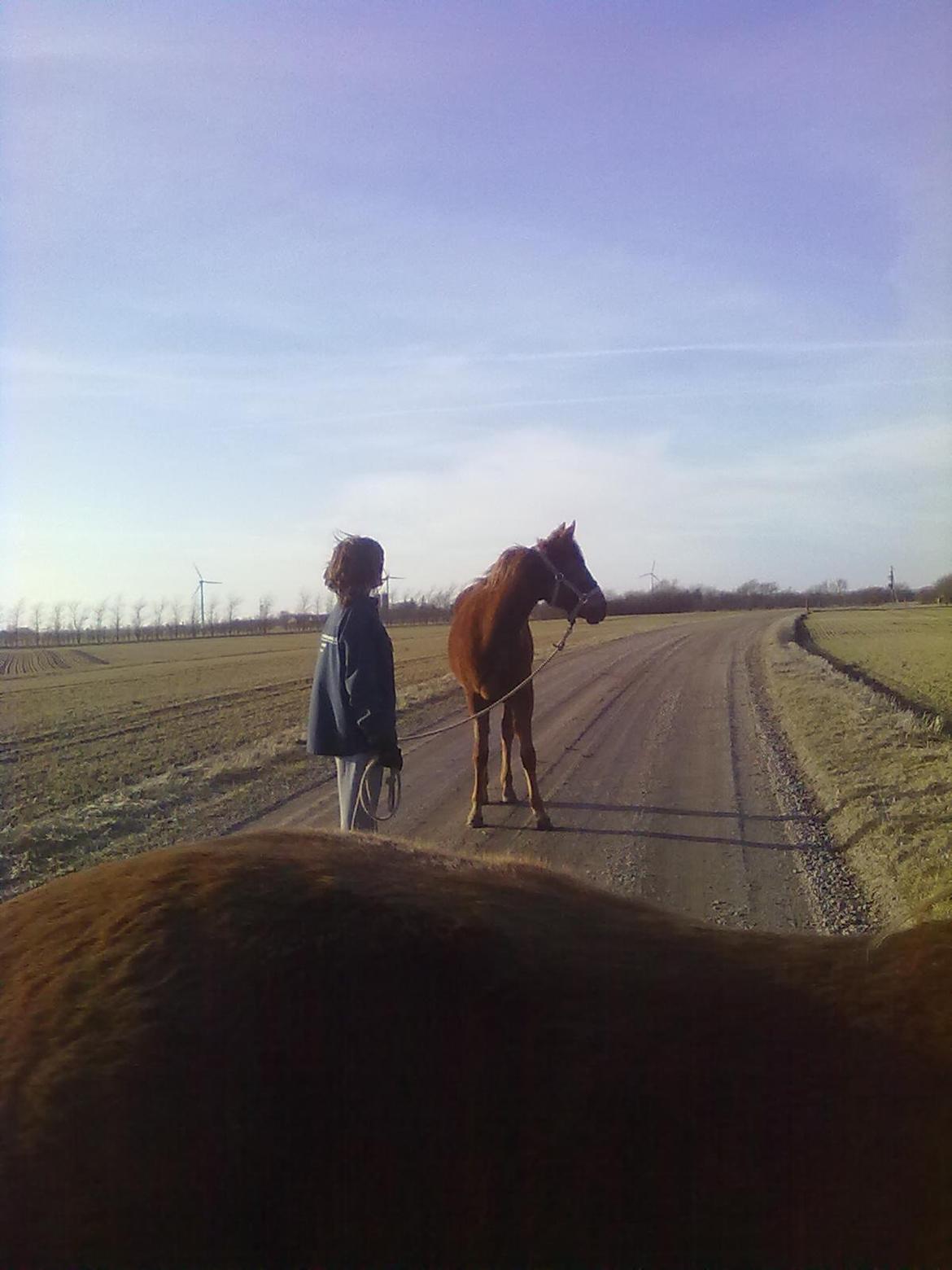 Anden særlig race Fame<33 den smukke billede 13