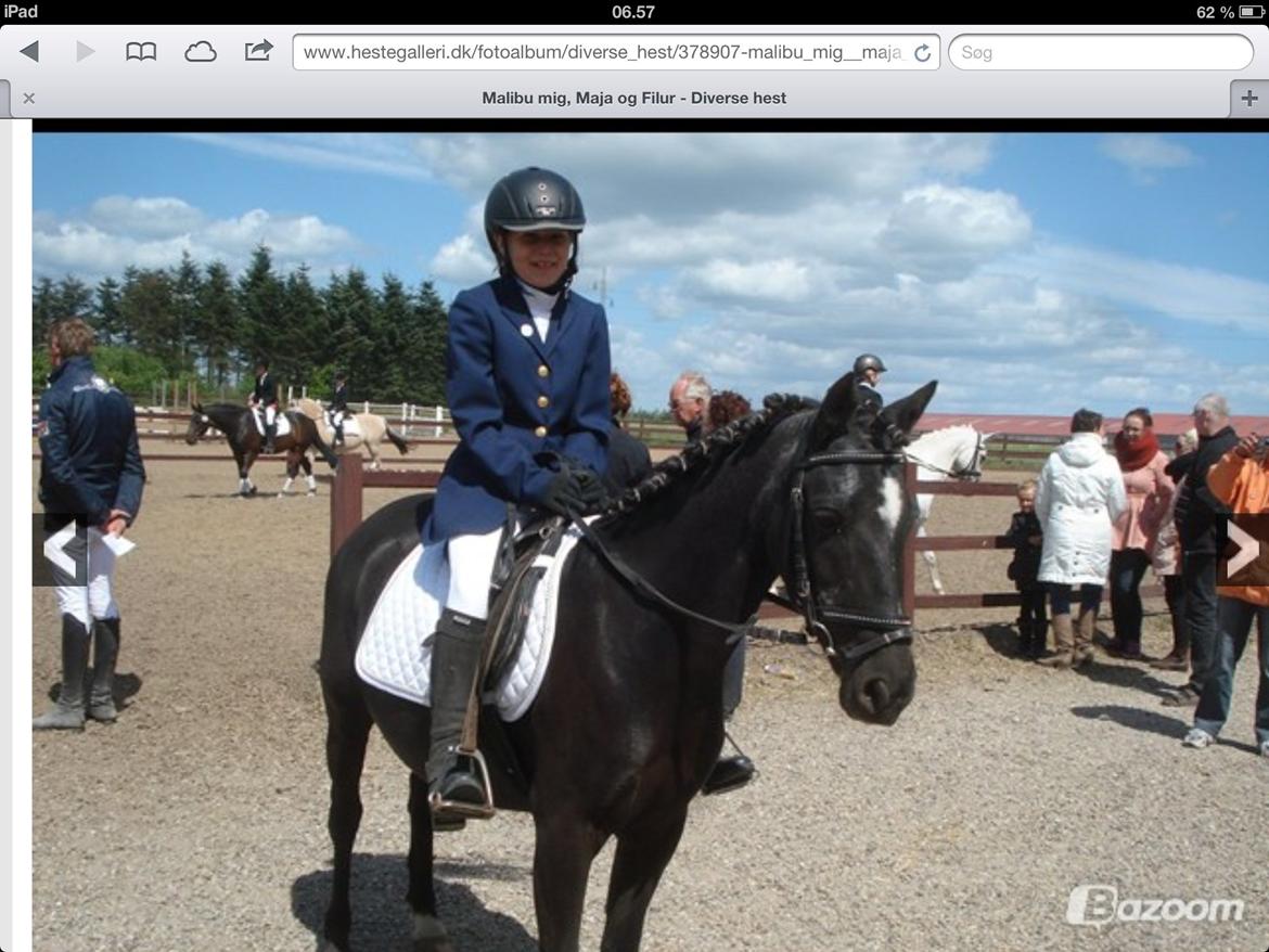 Anden særlig race Malibu billede 14