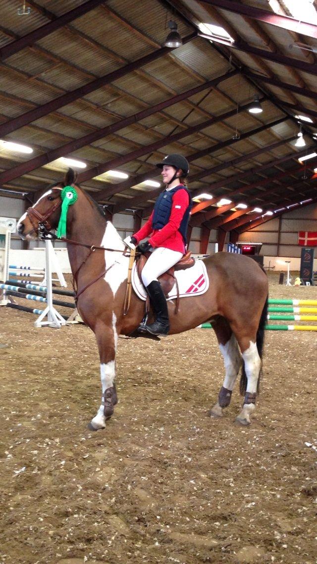 Pinto Robin - første distrikt stævne til præmieoverrækkelse  billede 6