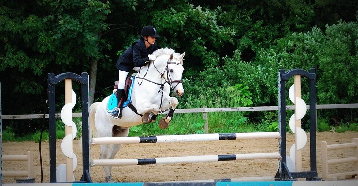 Irsk Sportspony Rahscanlon Lad  - White beauty - - LC på holmegården :) billede 21