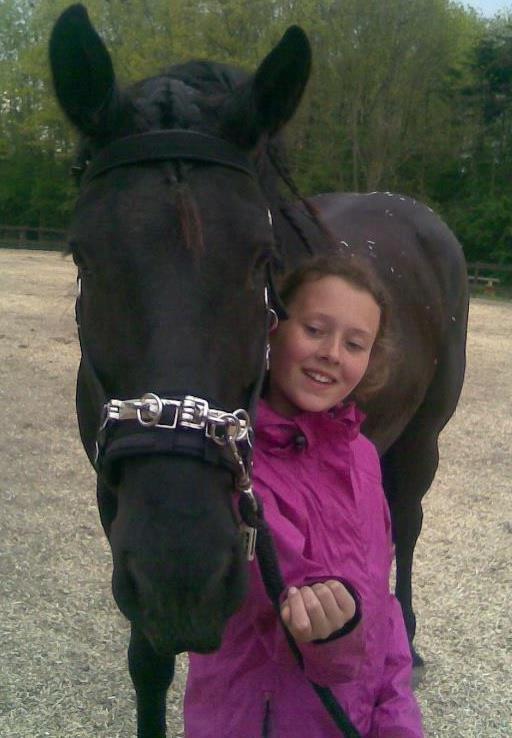 Anden særlig race Marlot -solgt billede 14