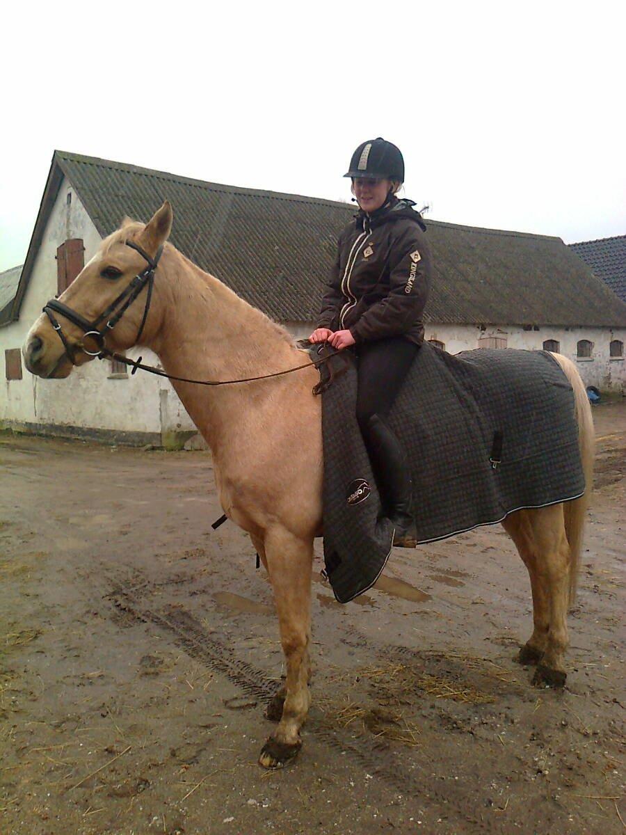 Palomino Atomic - "Nu gider jeg altså ikke have taget flere billeder!" billede 11