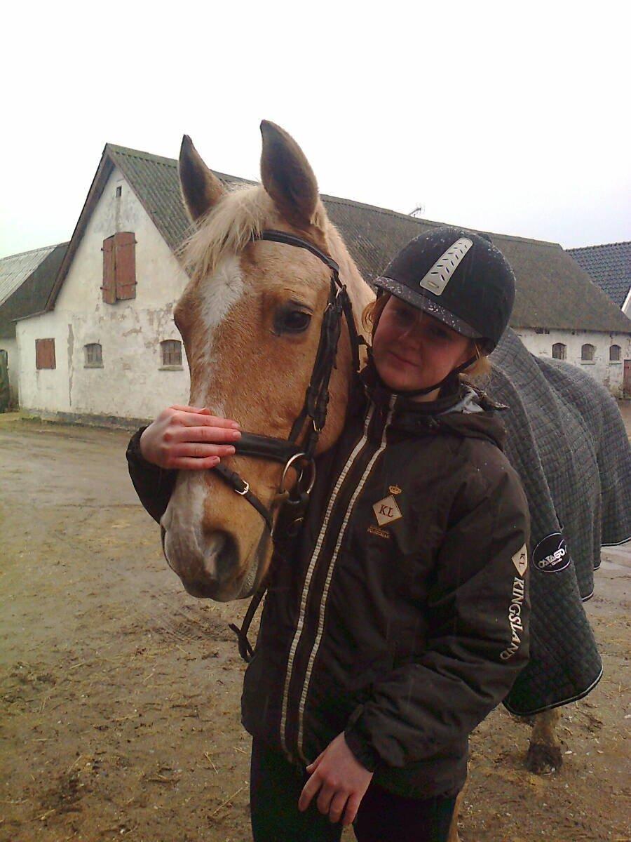 Palomino Atomic - Min søster og Tommy, igen! billede 12