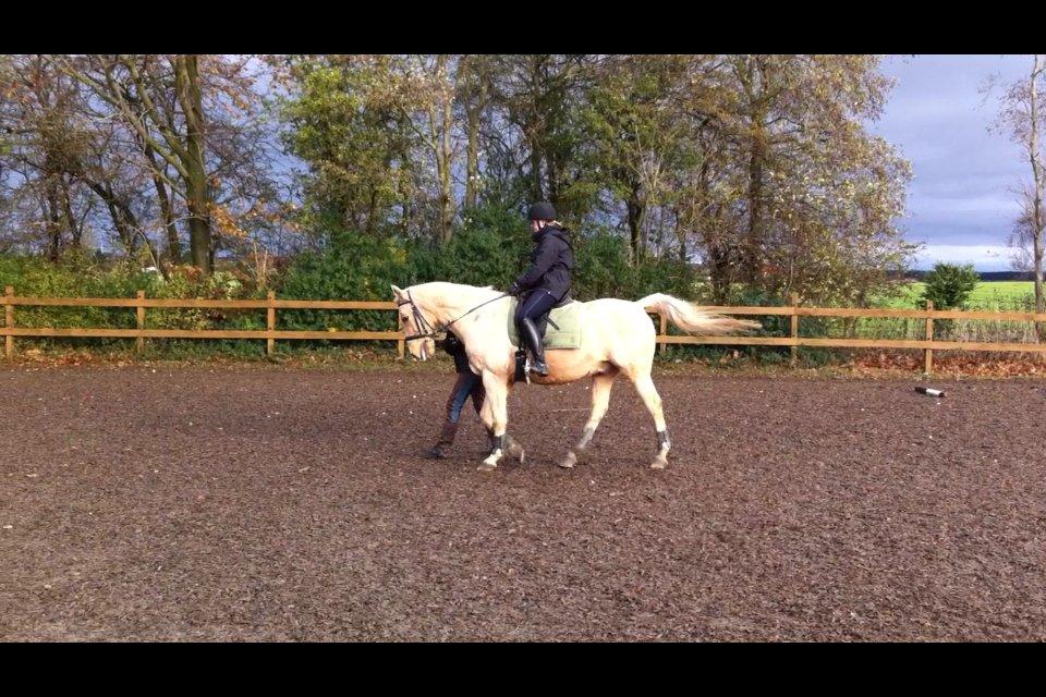 Palomino Atomic - Fra en af de første gange til undervisning!  billede 14