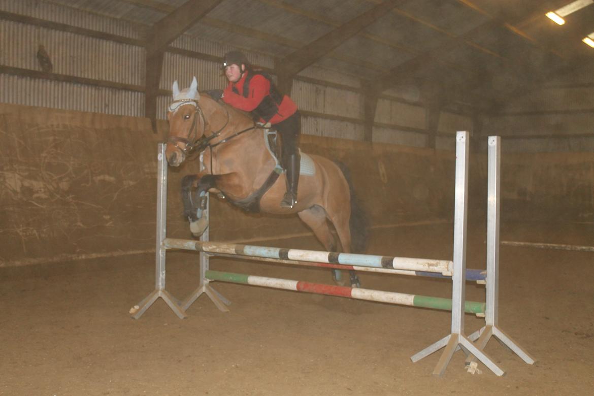 Anden særlig race Trunte ( Trunte pigen ) billede 16