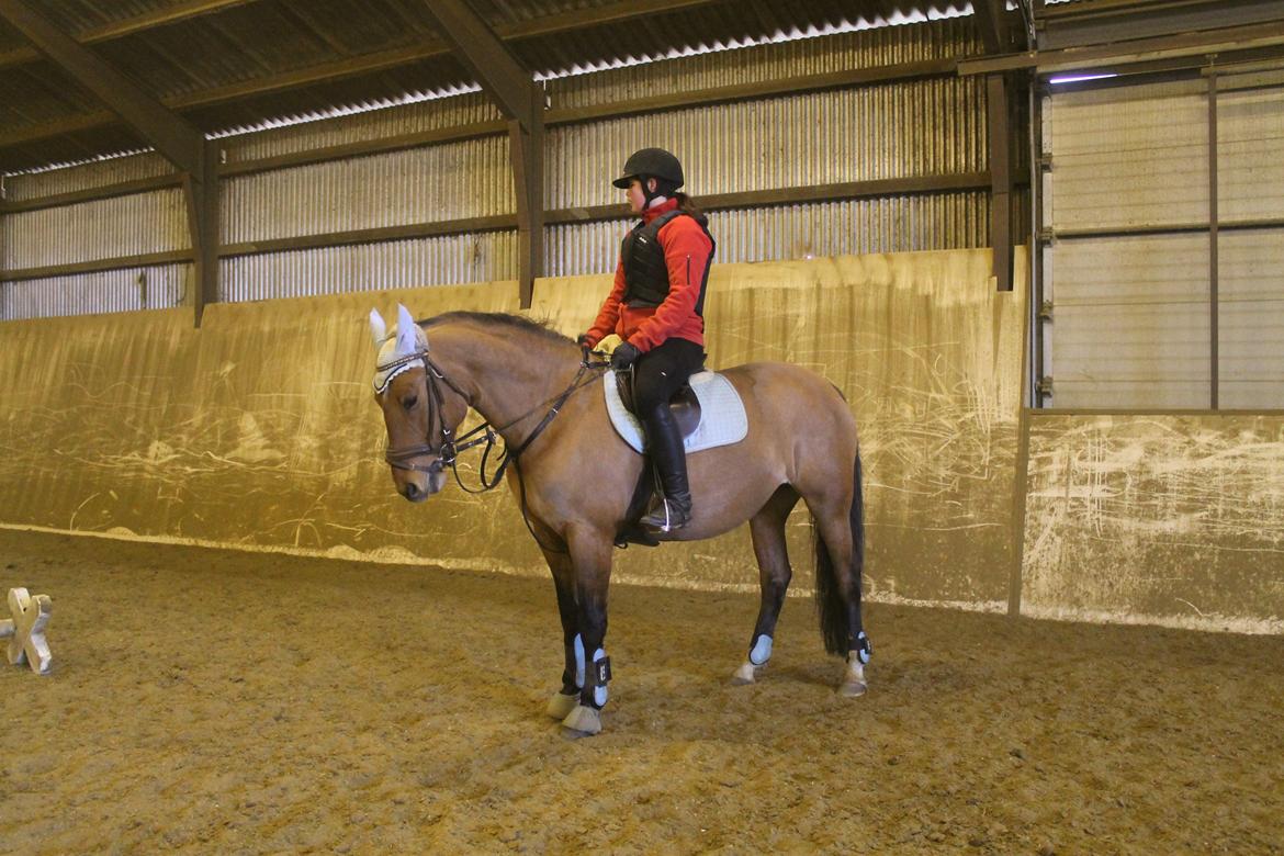 Anden særlig race Trunte ( Trunte pigen ) billede 17