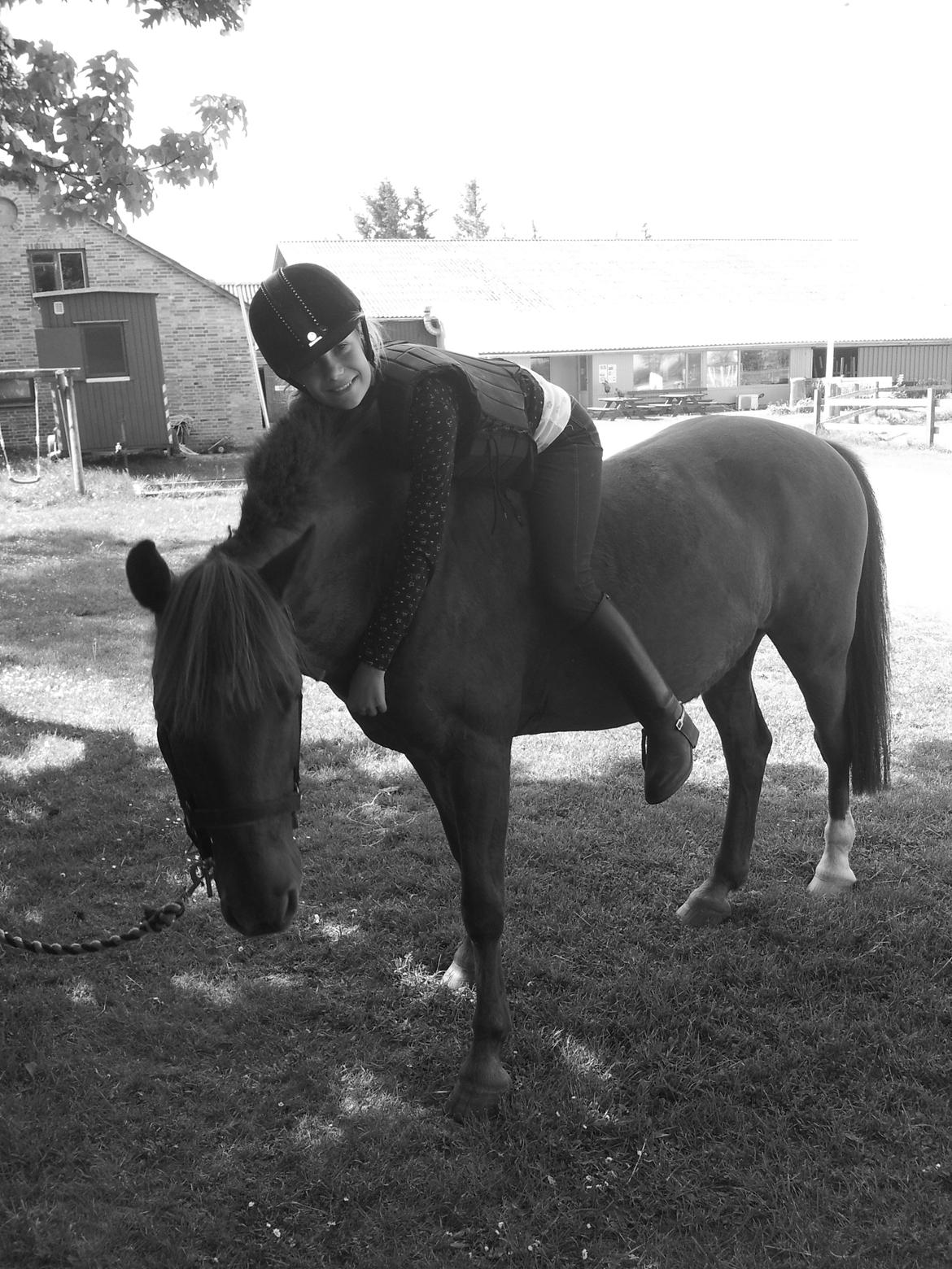 Anden særlig race Laban<3 billede 4