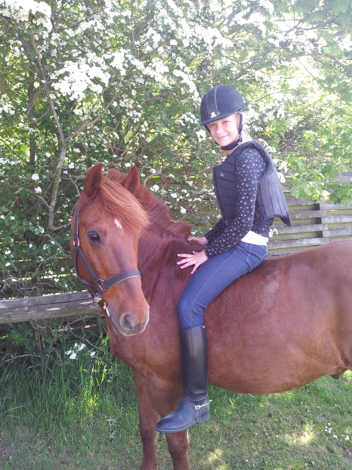 Anden særlig race Laban<3 billede 1