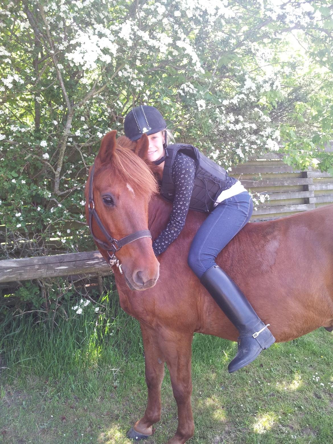 Anden særlig race Laban<3 billede 3