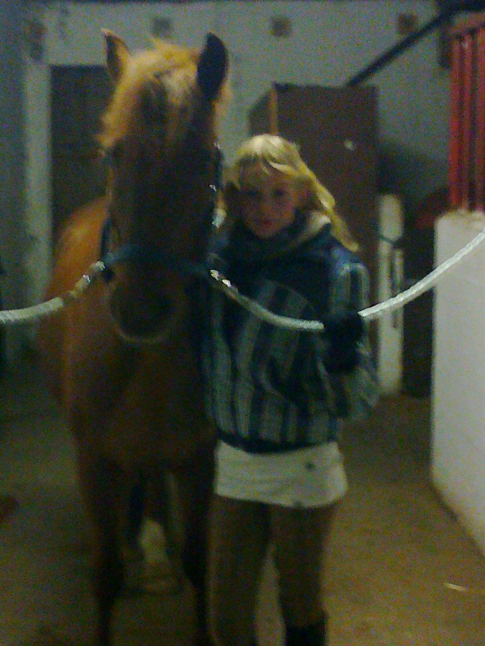 Anden særlig race Laban<3 billede 13