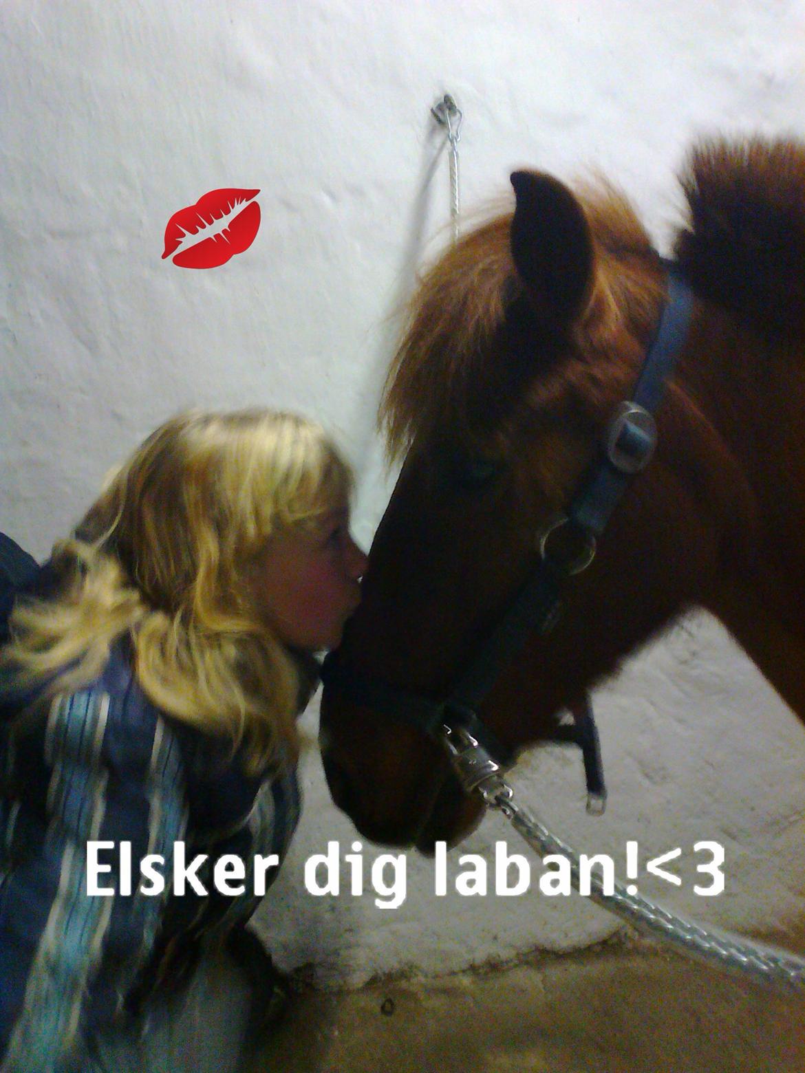 Anden særlig race Laban<3 billede 14
