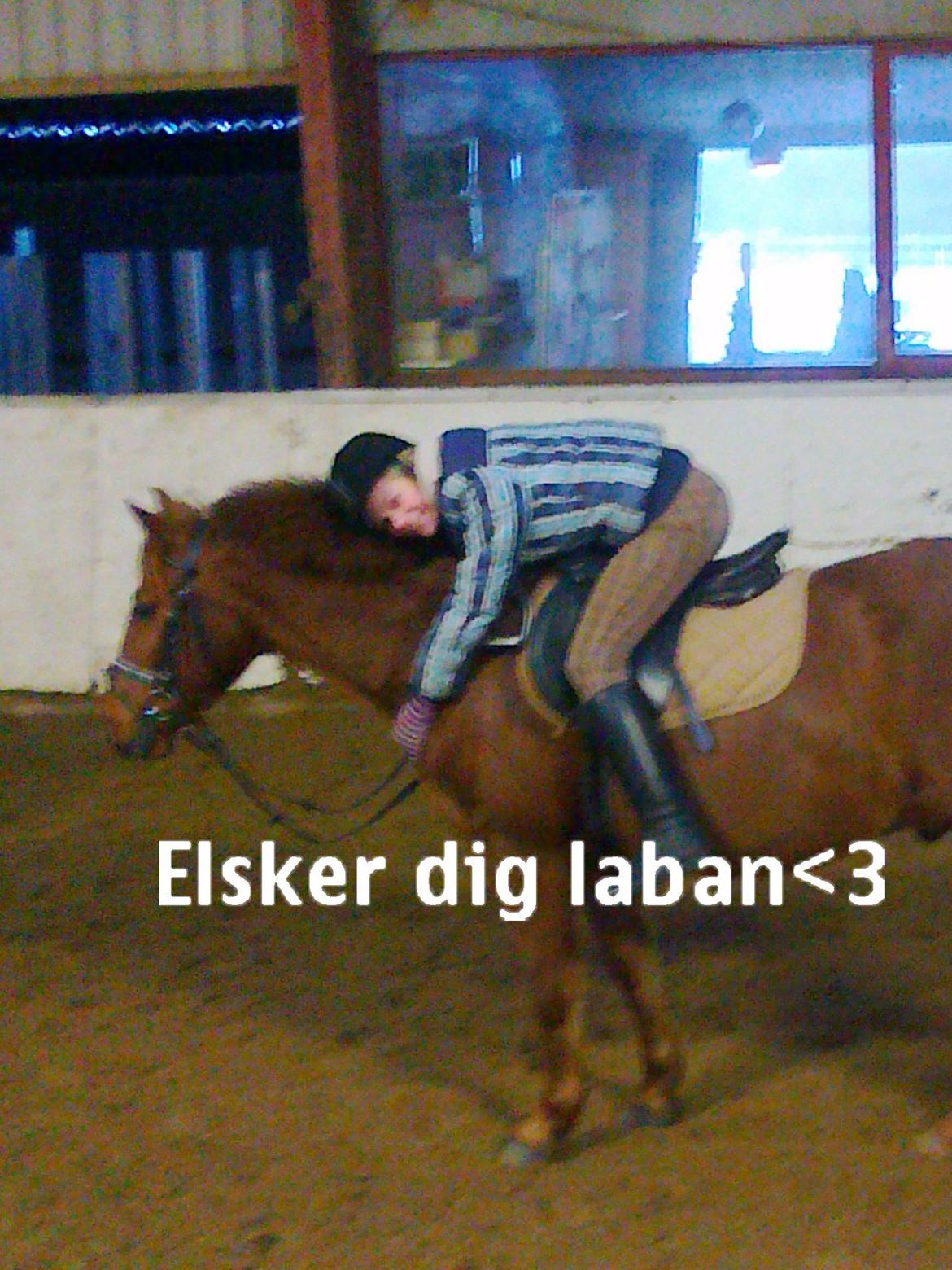 Anden særlig race Laban<3 billede 15