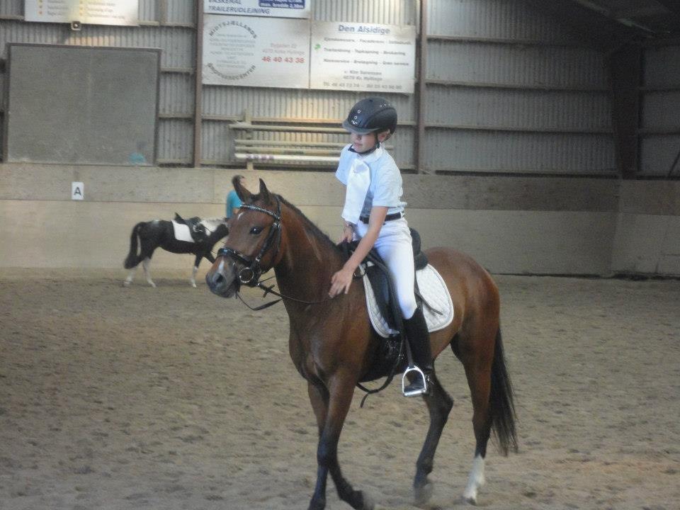 DSP Toftegaards Nismo billede 3