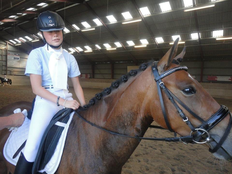 DSP Toftegaards Nismo billede 5