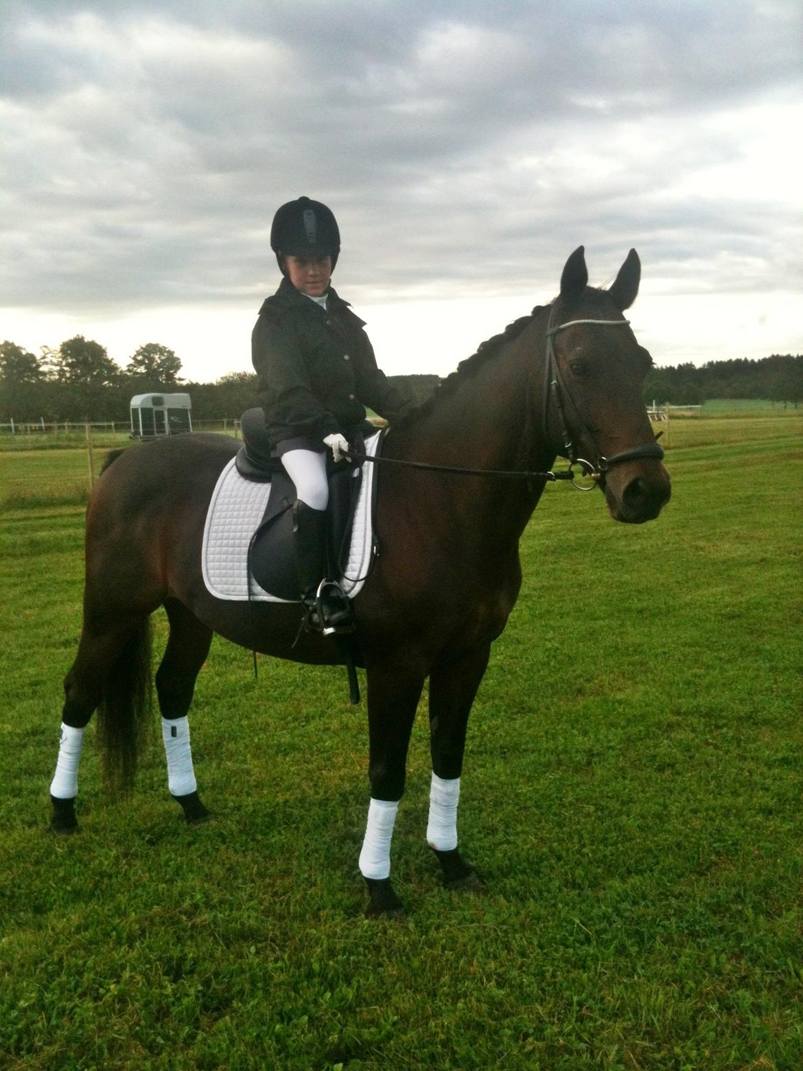 Anden særlig race Zeus (solgt) - <3<3 billede 9