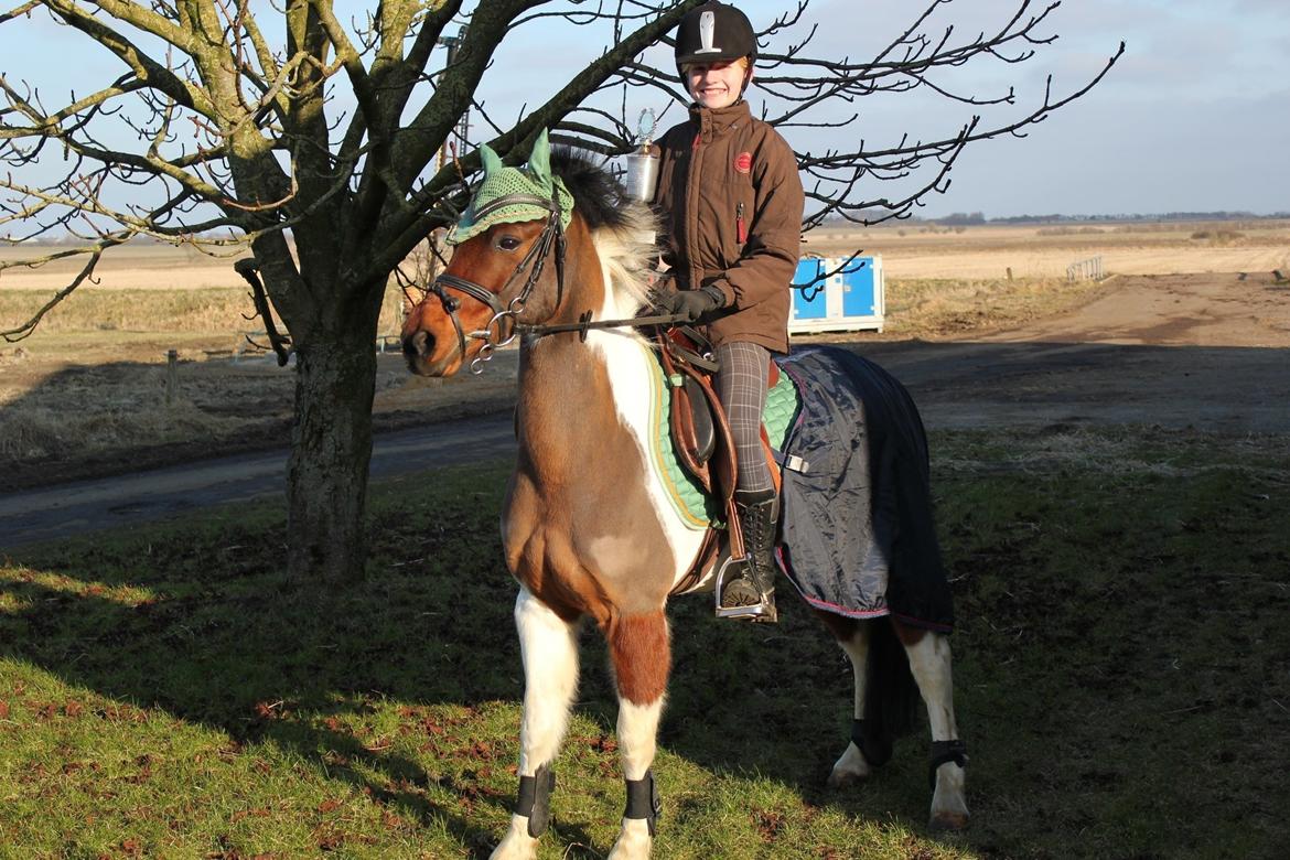 Anden særlig race Jumpy - Mest vindende ponyrytter i Kærgård Rideklub, 2011 og 2012 billede 14