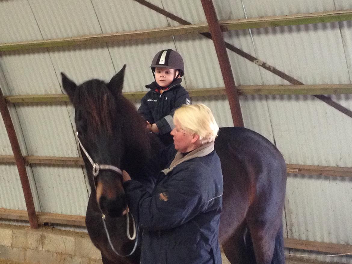 Anden særlig race thor billede 8