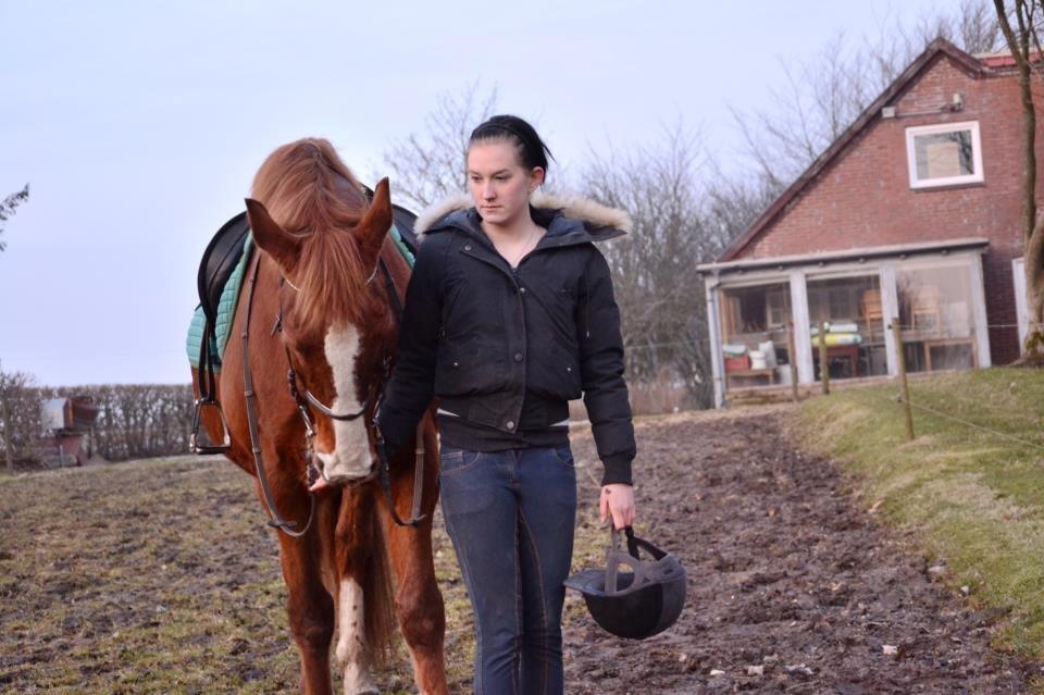 Anden særlig race Spidi billede 5