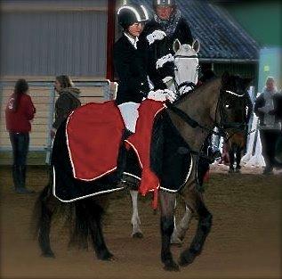 New Forest Bella - Det er en smuk pony jeg har! <3 billede 13