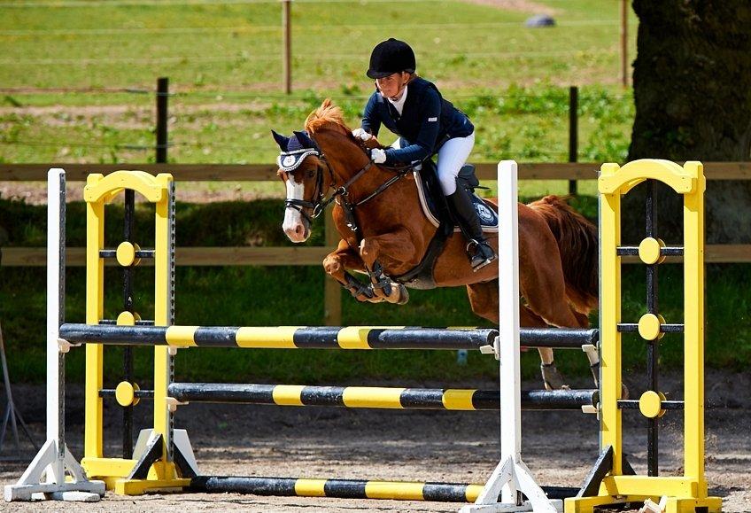 Palomino Tequila <3      *B-pony* - Bassen i LA2** ege 2012 <3
Min stjerne  billede 1