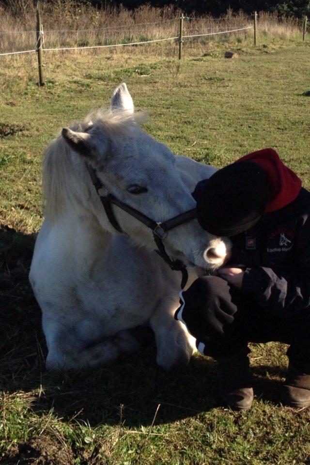 Anden særlig race Jasmin- Møffe pigen :-* billede 17