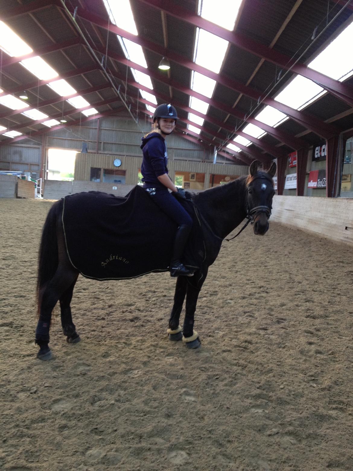 Anden særlig race Andriano billede 8