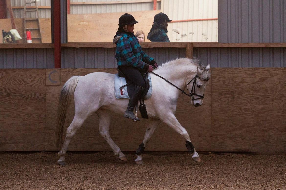 Anden særlig race Pepito my only one! <3 billede 3