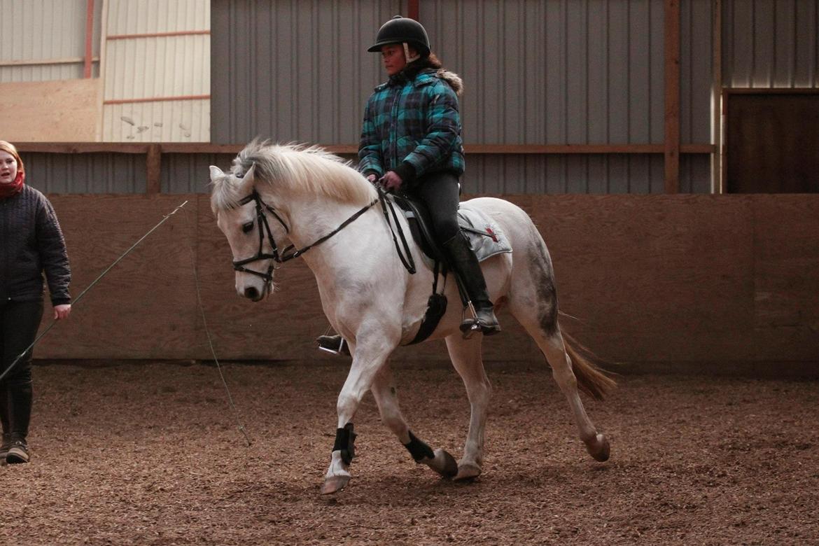 Anden særlig race Pepito my only one! <3 billede 8