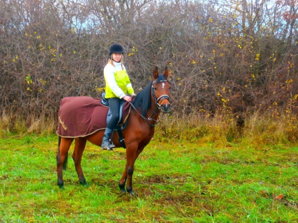 Arabisk fuldblod (OX) Gorisa - Jeg var på skridt trav tur med Charlotte Jull Petersen, som red på hesten Filur, og jeg ridder på Gorisa billede 1