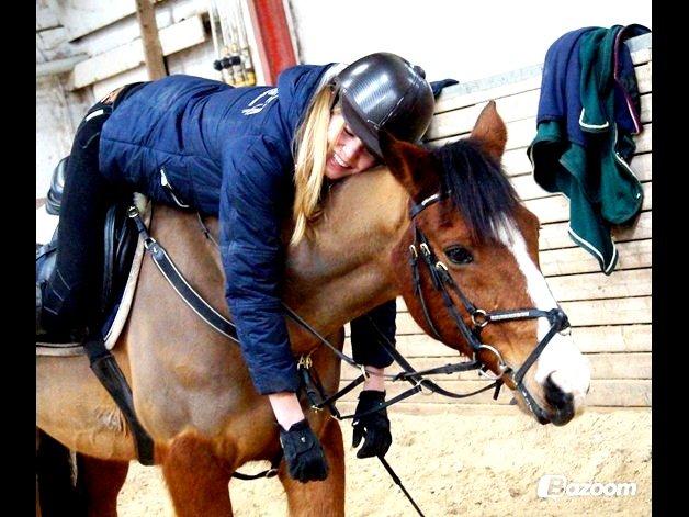 Hollandsk Sportspony Garfield - It's not only my horse. It's my sanity. Happiness. Pride. My Best Friend. <3 billede 16