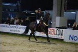 Oldenborg Reaction - JBK HORSE SHOW 2012. Sorry størrelsen! billede 13