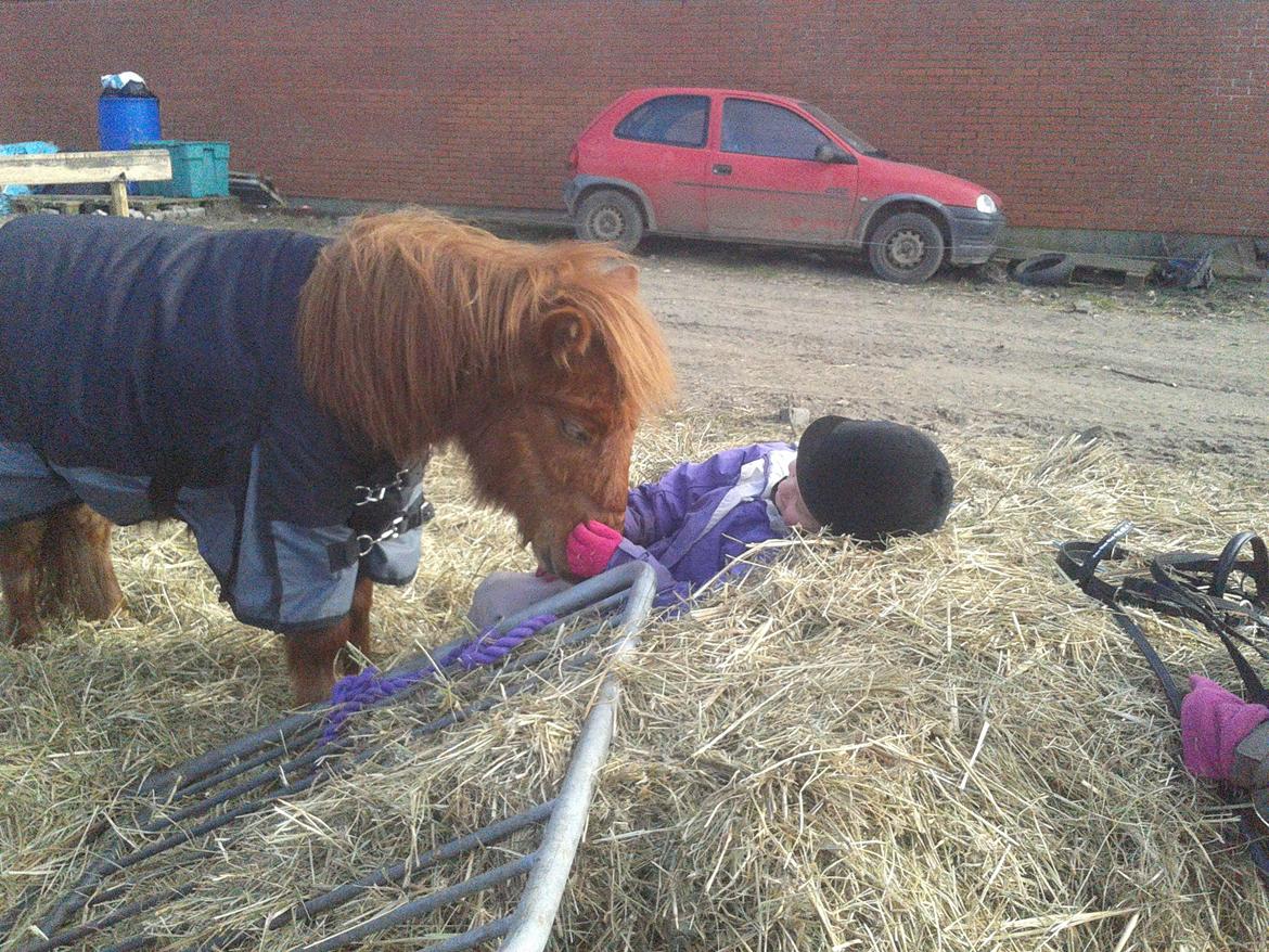 Anden særlig race Dudi † 04.11.13 - Nr. 8
Dudi og Line 
Februar 2013 billede 8