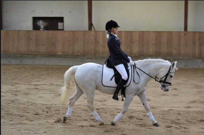 Anden særlig race Skavnshøjens Blue - Stævne i Arden den 9 Februar red til 63% i LB2:-)
Foto: Tanja billede 2