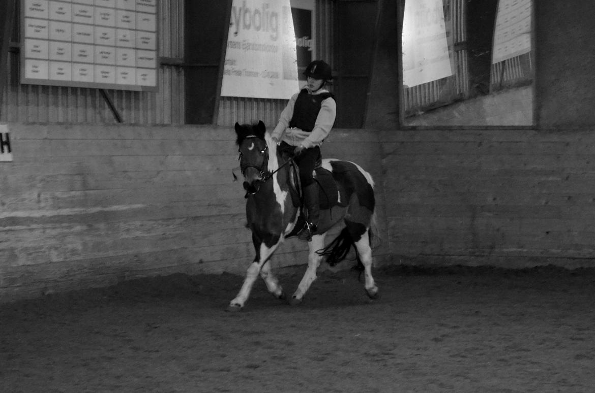 Anden særlig race Flicka [ELEVPONY] - Undervisning 19.02.13 billede 11