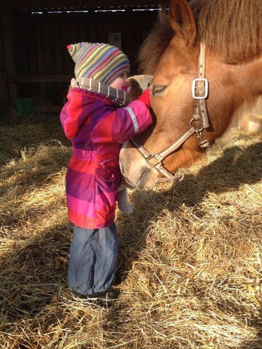 New Forest Milo - Askebos Starfield billede 6