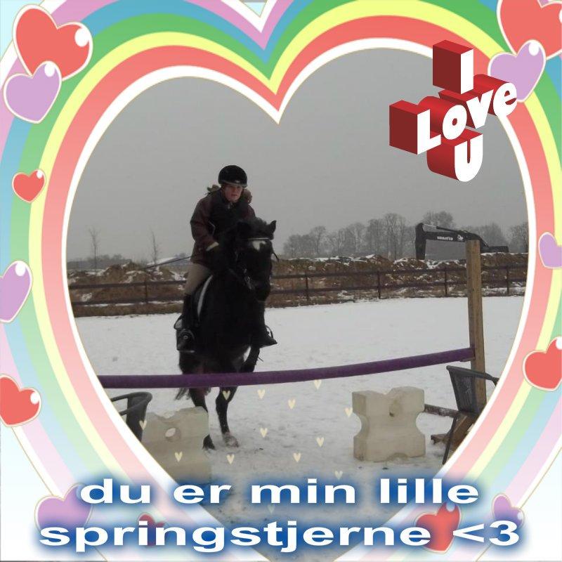 Dartmoor perle my soulmate !!!<3*stjerneponyen* - redigeret billede billede 19