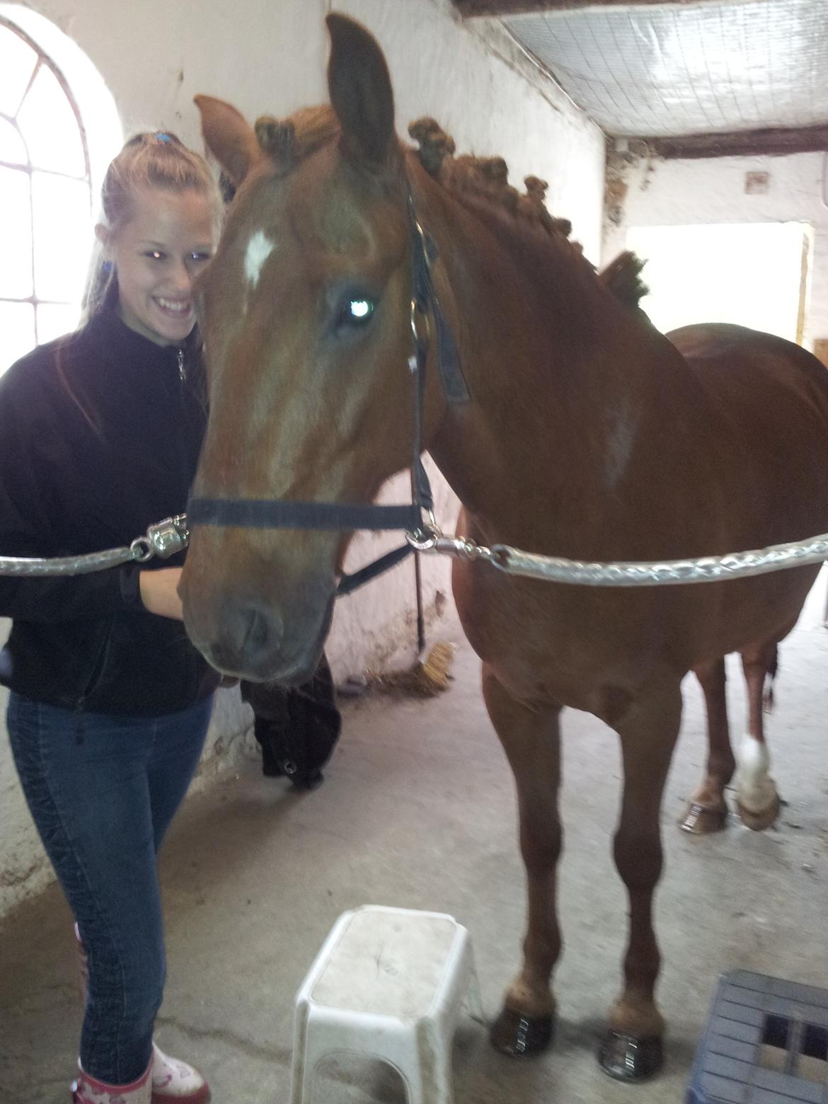 Anden særlig race Laban<3 - Dagen inden stævnet hvor ulykken skete:-)
Love yoou Laben!:-* billede 5