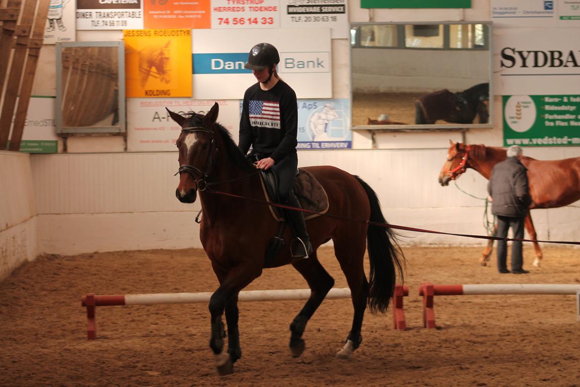 Dansk Varmblod Faithful´s Queen Solgt billede 11