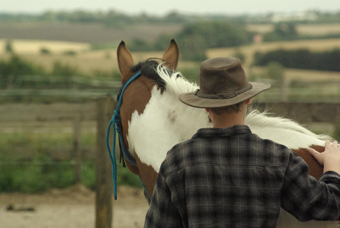 Pinto Padmé - My Soulmate - 2012 billede 6