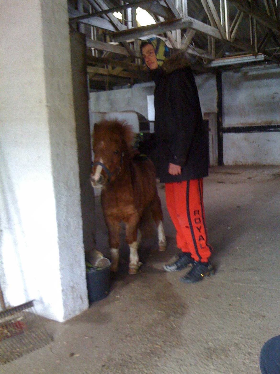 Miniature TinTin billede 6