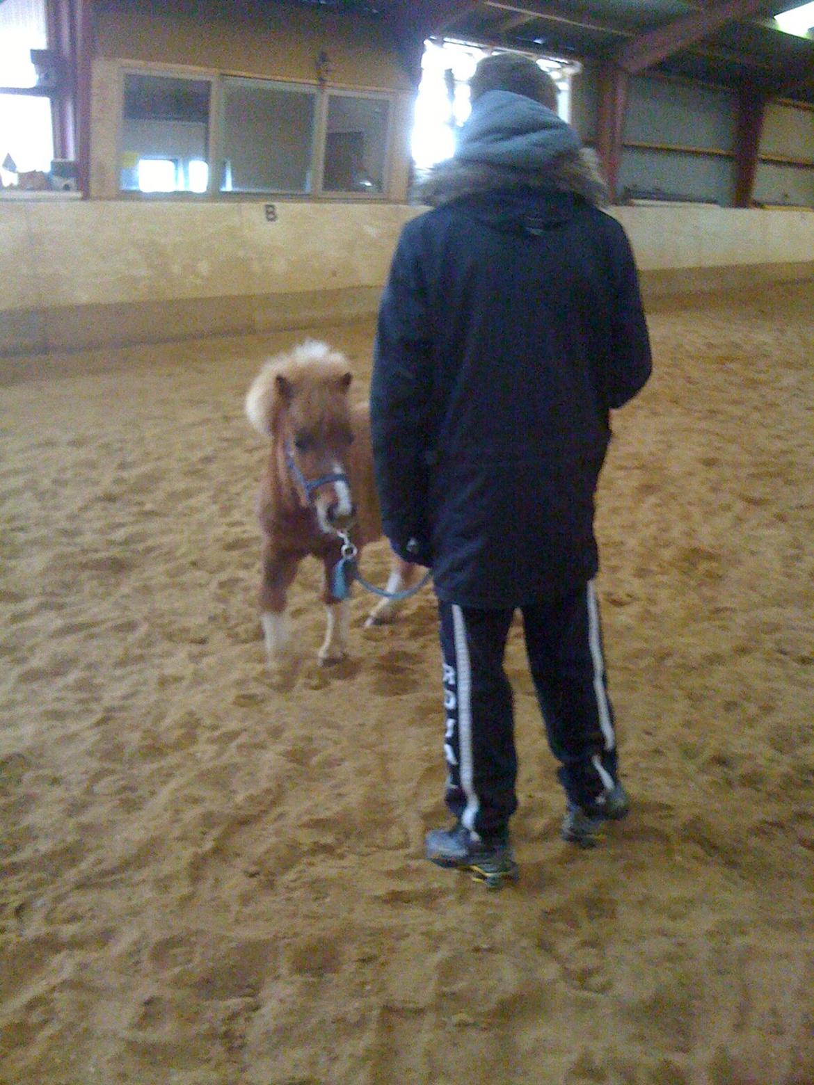 Miniature TinTin billede 10