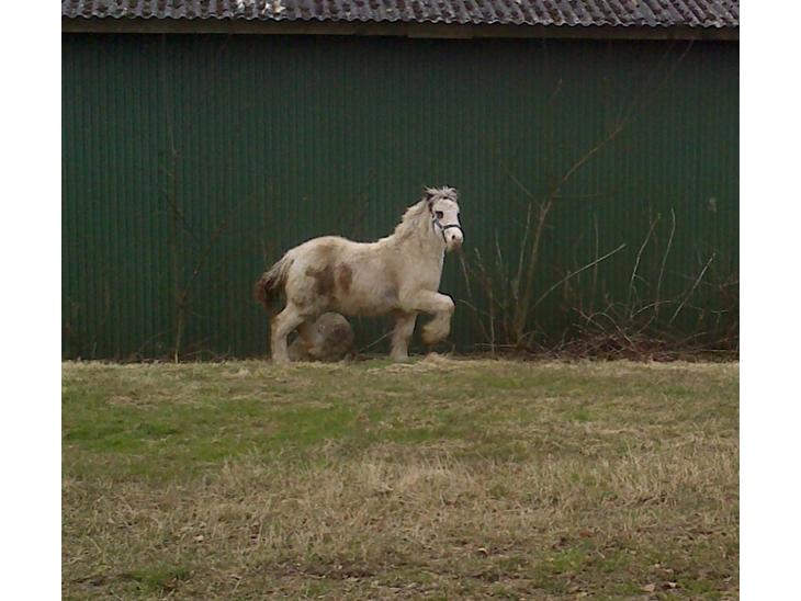 {{currentPhoto.altText}} billede {{currentPhoto.number}}