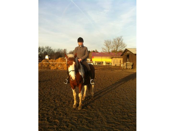 {{currentPhoto.altText}} billede {{currentPhoto.number}}