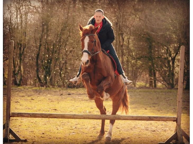 {{currentPhoto.altText}} billede {{currentPhoto.number}}