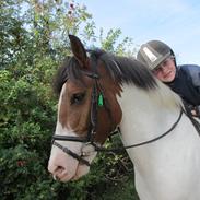 Anden særlig race Strit <3