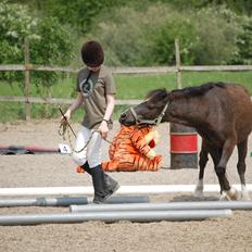 Anden særlig race Sorteper
