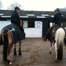 Anden særlig race WINNITUE